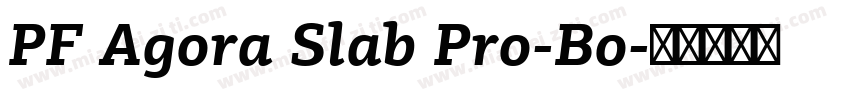 PF Agora Slab Pro-Bo字体转换